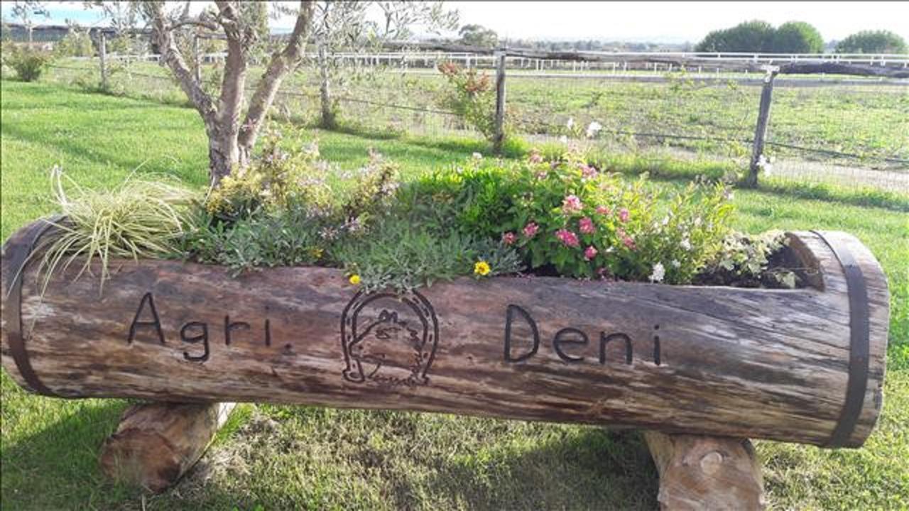 Agriturismo Deni Lägenhet Cenaia Exteriör bild